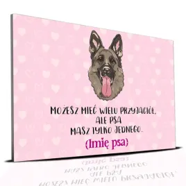 tabliczka-rozowy-22x15cm-wilczur-psa-masz-tylko-jednego-personalizacja-imie
