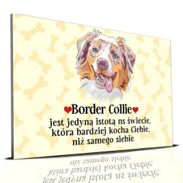 tabliczka-zolty-22x15cm-border-collie-jest-jedyna-istota-ktora-cie-kocha-wz