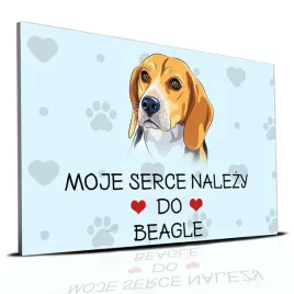 tabliczka-pcv-niebieski-22x15cm-moje-serce-nalezy-do-beagle-prezent-wzory