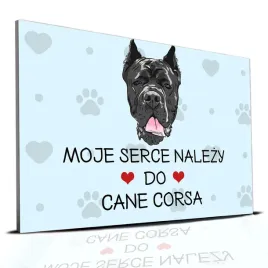 tabliczka-pcv-niebieski-22x15cm-moje-serce-nalezy-do-cane-corso-prezent-wz