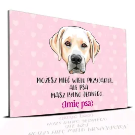 tabliczka-rozowy-22x15cm-labrador-masz-tylko-jednego-personalizacja-imie