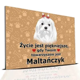 tabliczka-pcv-ciemno-brazowy-zycie-jest-piekne-maltanczyk-prezent-mix-wzory