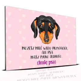 tabliczka-rozowy-22x15cm-jamnik-psa-masz-tylko-jednego-personalizacja-imie
