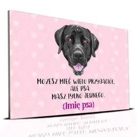 tabliczka-rozowy-22x15cm-labrador-masz-tylko-jednego-personalizacja-imie
