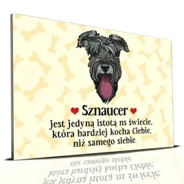 tabliczka-zolty-22x15cm-sznaucer-kocha-ciebie-bardziej-niz-samego-siebie-wz