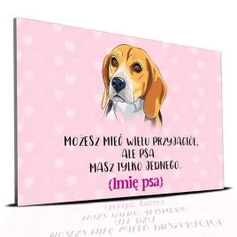 tabliczka-rozowy-22x15cm-beagle-psa-masz-tylko-jednego-personalizacja-imie