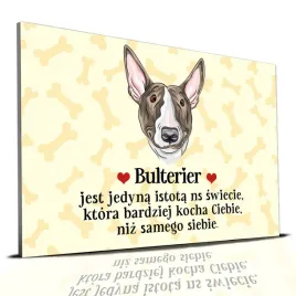 tabliczka-zolty-22x15cm-bulterier-jest-jedyna-istota-ktora-cie-kocha-wzory