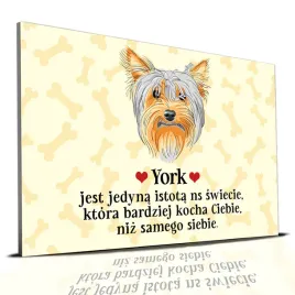 tabliczka-zolty-22x15cm-york-kocha-ciebie-bardziej-niz-samego-siebie-wzory