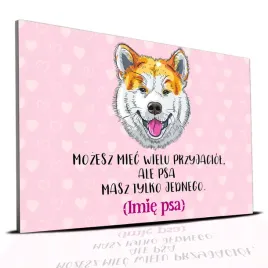 tabliczka-rozowy-22x15cm-akita-psa-masz-tylko-jednego-personalizacja-imie