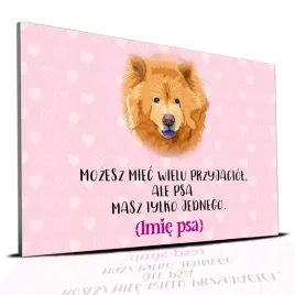 tabliczka-rozowy-22x15cm-chow-chow-masz-tylko-jednego-personalizacja-imie