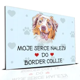 tabliczka-pcv-niebieski-22x15cm-moje-serce-nalezy-do-border-collie-wzory