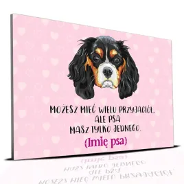 tabliczka-rozowy-22x15cm-king-charles-psa-masz-tylko-jednego-perso-imie
