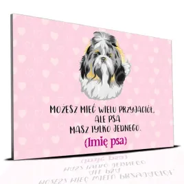 tabliczka-rozowy-22x15cm-shih-tzu-masz-tylko-jednego-personalizacja-imie