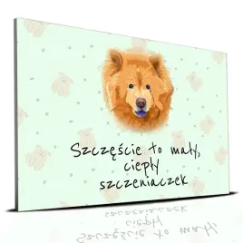 tabliczka-zielony-22x15cm-chow-chow-to-maly-cieply-szczeniaczek-mix-wzorow