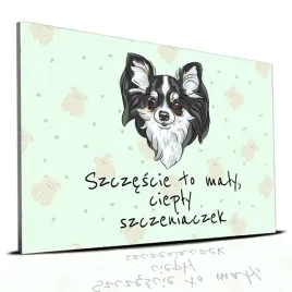 tabliczka-zielony-22x15cm-chihuahua-to-maly-cieply-szczeniaczek-mix-wzorow
