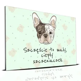 tabliczka-zielony-22x15cm-buldog-francuski-to-maly-cieply-szczeniaczek-wz