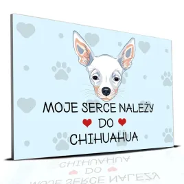 tabliczka-pcv-niebieski-22x15cm-moje-serce-nalezy-do-chihuahua-prezent-wz