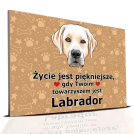 tabliczka-pcv-ciemno-brazowy-zycie-jest-piekne-labrador-prezent-mix-wzorow