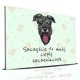 tabliczka-zielony-22x15cm-sznaucer-szczescie-to-maly-cieply-szczeniaczek-wz