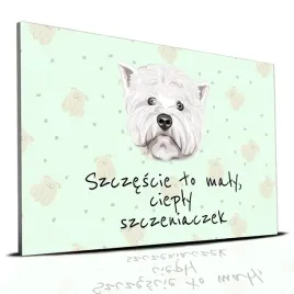 tabliczka-zielony-22x15cm-westie-szczescie-to-maly-cieply-szczeniaczek-wz