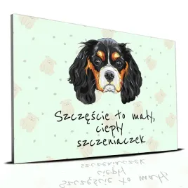 tabliczka-zielony-22x15cm-king-charles-to-maly-cieply-szczeniaczek-wzory
