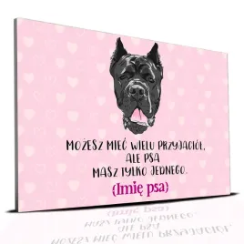 tabliczka-rozowy-22x15cm-cane-corso-masz-tylko-jednego-personalizacja-imie