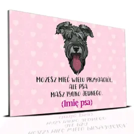tabliczka-rozowy-22x15cm-sznaucer-masz-tylko-jednego-personalizacja-imie