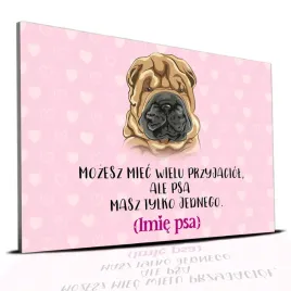 tabliczka-rozowy-22x15cm-shar-pei-masz-tylko-jednego-personalizacja-imie