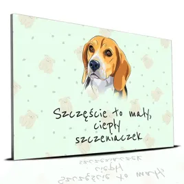 tabliczka-zielony-22x15cm-beagle-szczescie-to-maly-cieply-szczeniaczek-wz