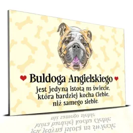 tabliczka-zolty-22x15cm-buldog-angielski-jest-istota-ktora-cie-kocha-wzory
