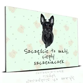 tabliczka-zielony-22x15cm-terrier-szkocki-to-maly-cieply-szczeniaczek-wz