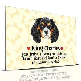 tabliczka-zolty-22x15cm-king-charles-jest-jedyna-istota-ktora-cie-kocha-wz