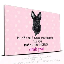 tabliczka-rozowy-22x15cm-terrier-szkocki-psa-masz-tylko-jednego-perso-imie