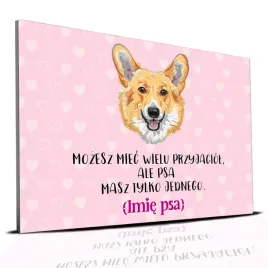 tabliczka-rozowy-22x15cm-corgi-psa-masz-tylko-jednego-personalizacja-imie