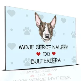 tabliczka-pcv-niebieski-22x15cm-moje-serce-nalezy-do-bulterier-prezent-wz