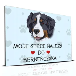 tabliczka-pcv-niebieski-22x15cm-moje-serce-nalezy-do-bernenczyk-prezent-wz