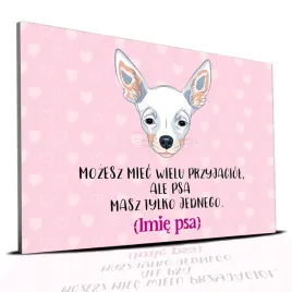 tabliczka-rozowy-22x15cm-chihuahua-masz-tylko-jednego-personalizacja-imie
