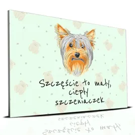 tabliczka-zielony-22x15cm-york-szczescie-to-maly-cieply-szczeniaczek-wzory