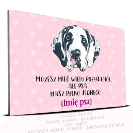 tabliczka-rozowy-22x15cm-dog-niemiecki-psa-masz-tylko-jednego-perso-imie