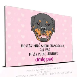 tabliczka-rozowy-22x15cm-rottweiler-masz-tylko-jednego-personalizacja-imie