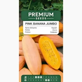 nasiona-dyni-pink-banana-jumbo-dynia-olbrzymia-do-gruntu-premium-seeds-3-g