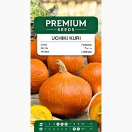 nasiona-dyni-uchiki-kuri-dynia-olbrzymia-hokkaido-warzywa-premium-seeds-3-g