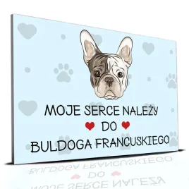tabliczka-pcv-niebieski-22x15cm-moje-serce-nalezy-do-buldog-francuski-wz