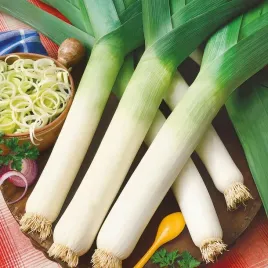 nasiona-por-winner-zimujacy-pozna-odmiana-zbior-stopniowy-premium-seeds-1g