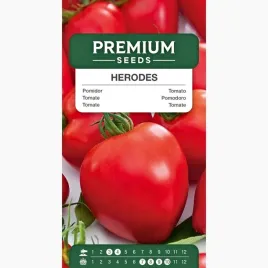 nasiona-pomidorow-herodes-do-gruntu-do-tuneli-warzywa-premium-seeds-0-3-g