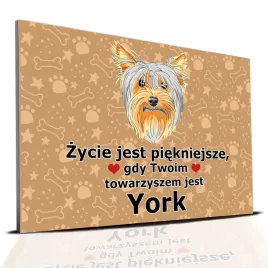 tabliczka-pcv-ciemno-brazowy-zycie-jest-piekne-towarzysz-york-prezent-wzory