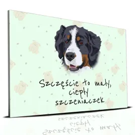 tabliczka-zielony-22x15cm-bernenczyk-to-maly-cieply-szczeniaczek-mix-wzorow