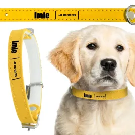 obroza-zolta-skorzana-dla-psa-40-cm-personalizacja