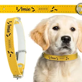 zolta-obroza-skorzana-dla-psa-40-cm-personalizacja