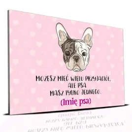 tabliczka-rozowy-22x15cm-buldog-francuski-psa-masz-tylko-jednego-perso-imie